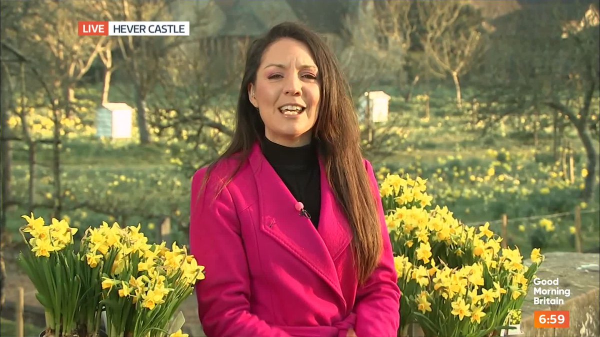 'It is warming up nicely' @lauratobin1 brings you the forecast from Hever Castle.