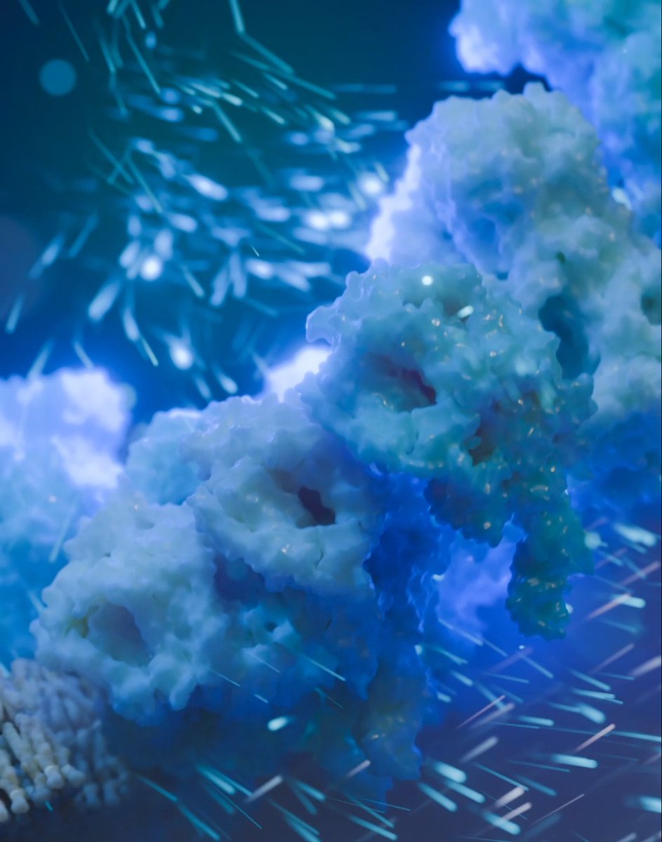 In mitochondria, respiratory supercomplexes (blue) pump protons across crista membranes to create an electrochemical gradient, fueling adenosine triphosphate (ATP) synthase (pink) to regenerate ATP—the energy currency of life. Now, cryo–electron tomography captures these supercomplexes in their native organization, illuminating how the coordinated action of these molecular machines drives life’s fundamental energy conversion. Learn more this week in Science:
