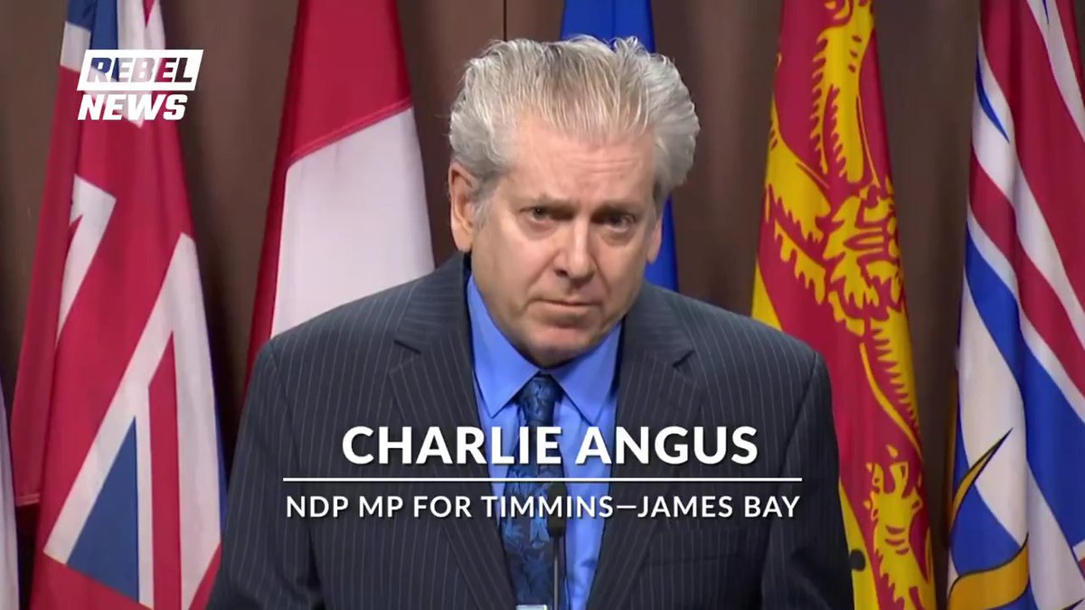 NDP MP Charlie Angus calls for Canadians to avoid travelling to the U.S. to 'stand up' to President Trump. "Canada must stand up for our citizens and for the rule of law," he says.