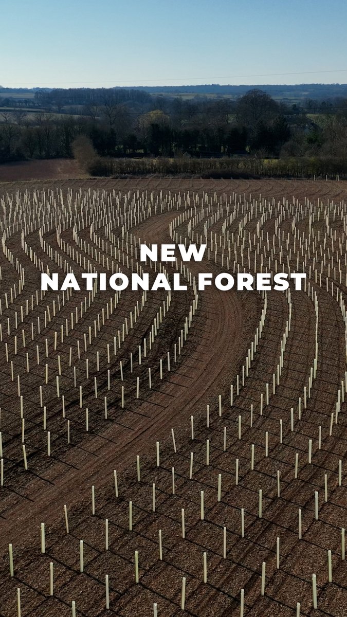 Today we create a legacy for generations to come. The Western Forest will become the first new national forest in 30 years. #InternationalDayofForests Read more: