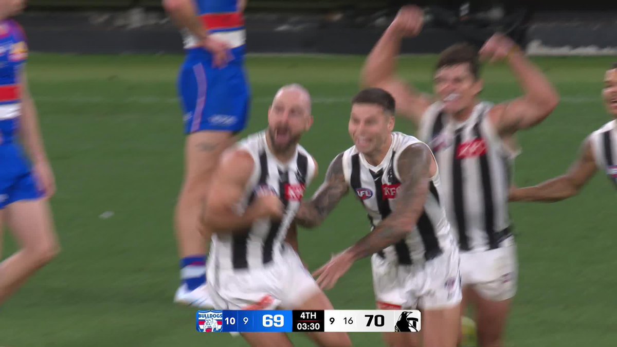 THE SIDEBOTTOM SEALER 🫡 #AFLDogsPies