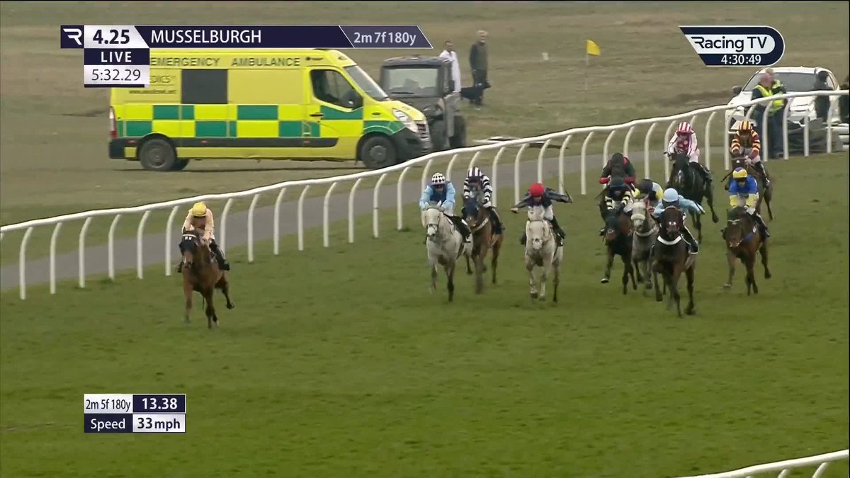 Aptly named! 💪 Fierce Warrior digs deep to get the better of a brave Punxsutawney Phil in the Ladbrokes Go North Brindisi Breeze Hurdle Musselburgh Racecourse 🩵 Nicky Henderson 🤝 James Bowen