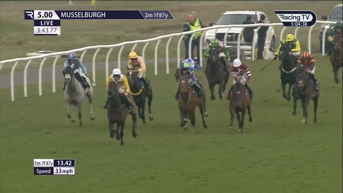 Impressive 👀 Kingston James runs out a ready winner of the Racing Post Go North Sea Pigeon Hurdle Musselburgh Racecourse for Alan Doyle and lucinda russell 👏
