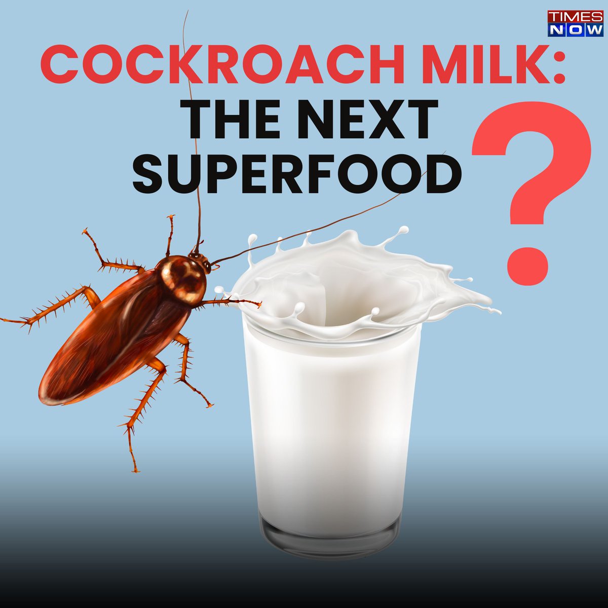 Scientists believe cockroach milk could be the next big superfood. Watch as Rachel Anthony breaks it down. #TNVideos #Trending #CockroachMilk #Viral