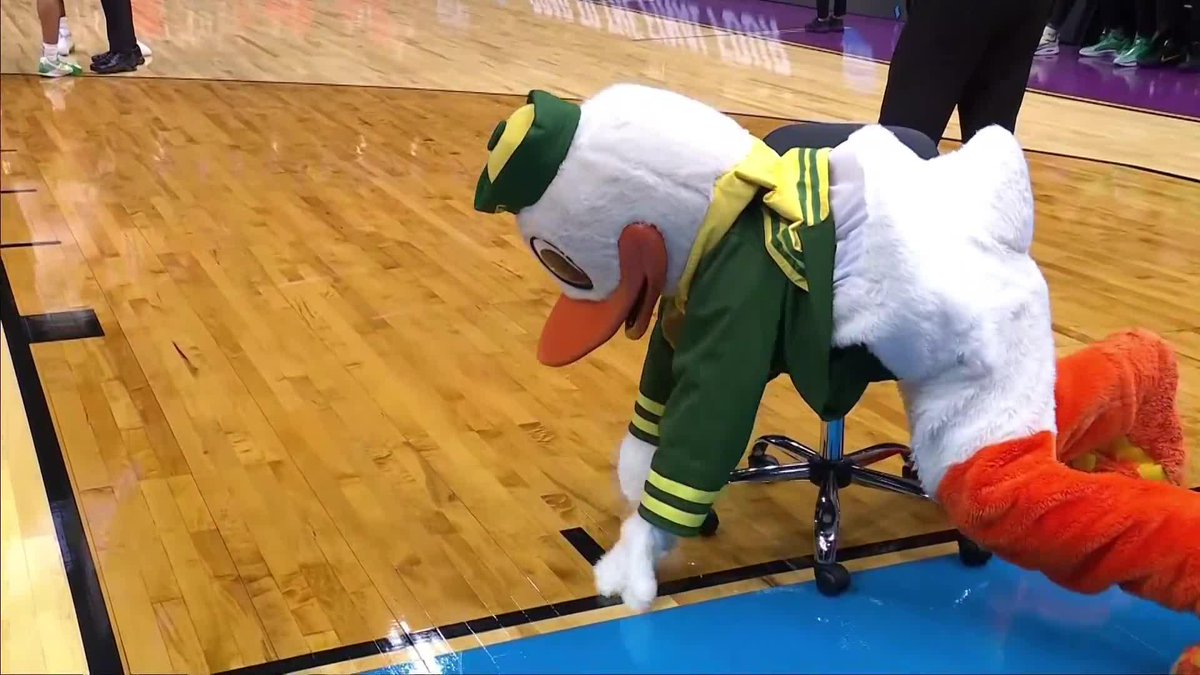 Yo The Duck... you good???