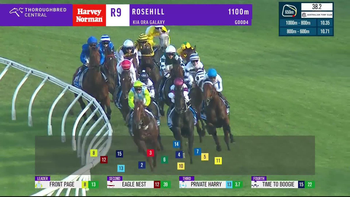 We're just wild about Harry!!! 😍 Private Harry gives Doyle Racing and Ash Morgan their first G1 success in The Galaxy, and remains unbeaten! 💪 Kurrinda Bloodstock | Australian Turf Club