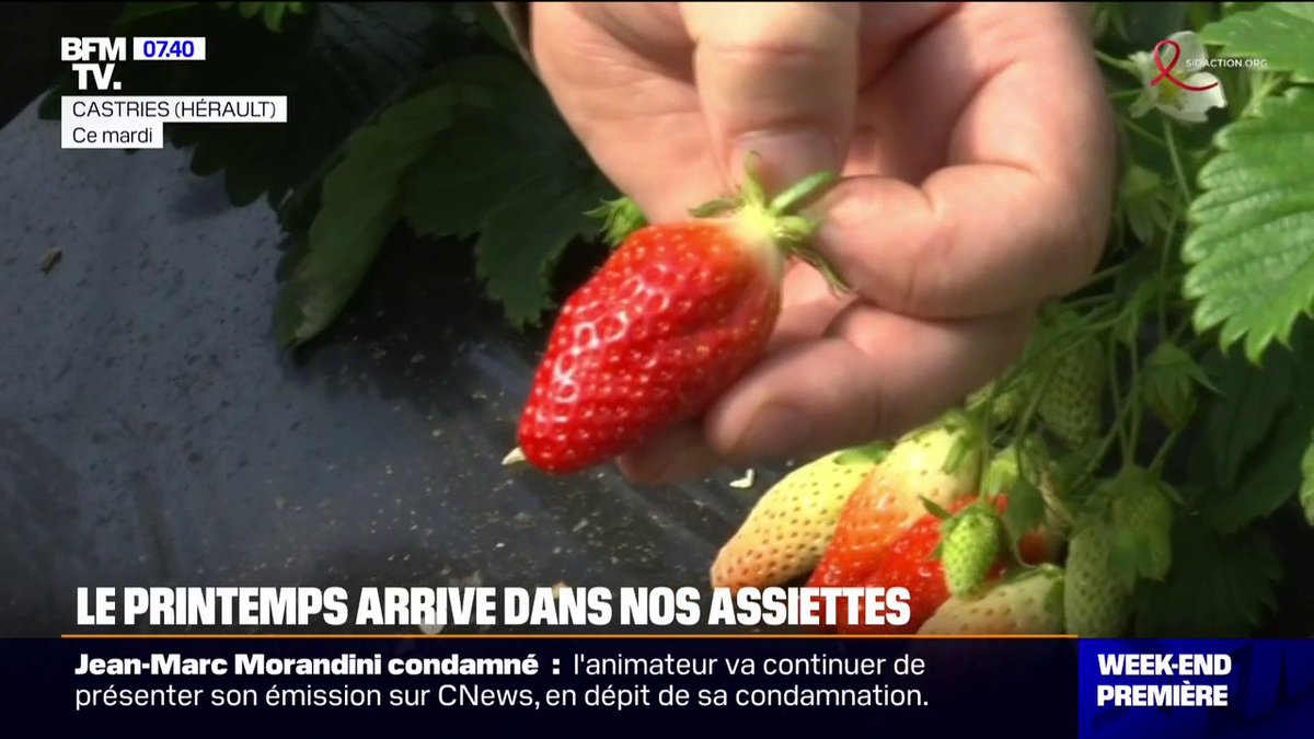🍓 Fraises, asperges...Le printemps arrive doucement dans nos assiettes