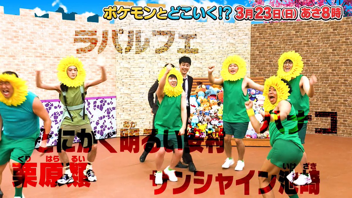 【明日のポケどこ】 ポケどこにキマワリ学園がやってきた！ お笑いコンビのラパルフェの二人や、とにかく明るい安村さん、栗原類さん、サンシャイン池崎さん、ハナコの三人がひまわり顔で大暴れ!? どうなる、ポケどこバトル部……!? #ポケモン #ポケどこ