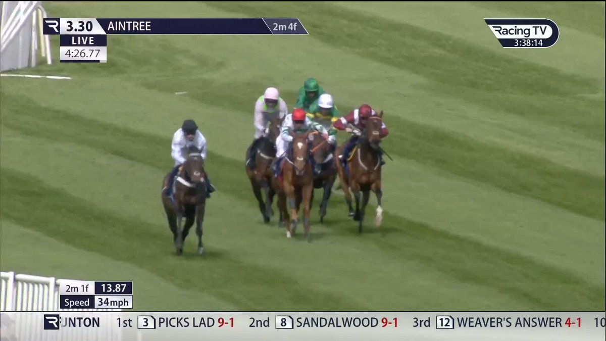 🚨 BREAKING: Constitution Hill is likely to run in the Aintree Hurdle over 2m4f in two weeks time. Nicky Henderson revealed in his blog today, he won the race easily in 2023! ⚫️ ⚪️