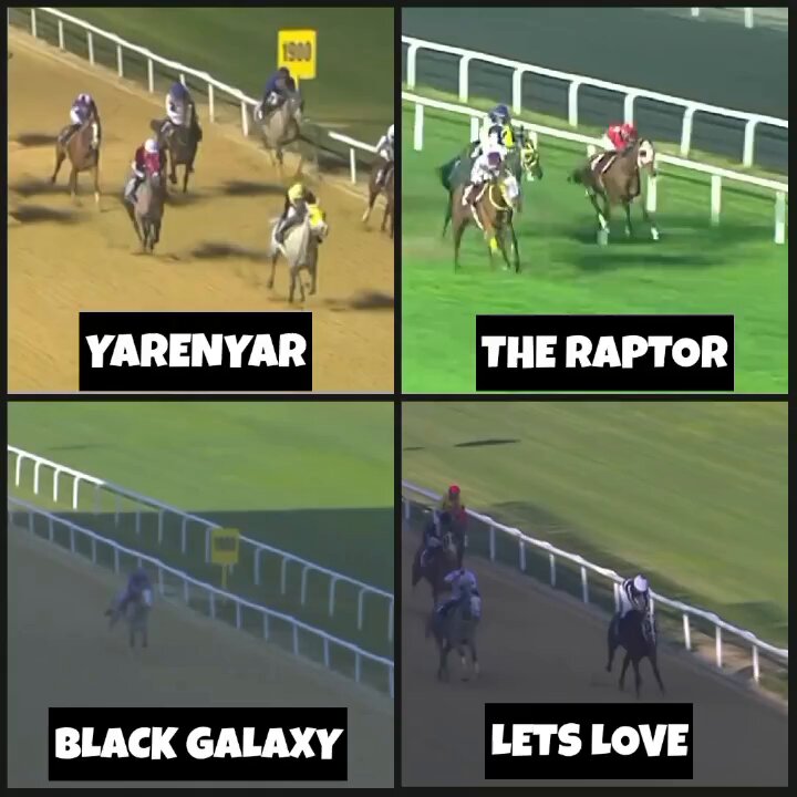 🐴 23 Ocak İzmir 🐴 ♦️♠️KARE AS ♣️♥️ KoptuGeliyor Bitalih