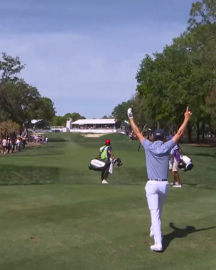 MADNESS! A slam-dunk ace for Sam Ryder on the 17th hole Valspar Championship! 🏀