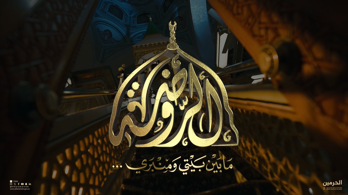 لأول مرة .. مشاهدٌ فريدة لم ترها من قبل، تأخذك في رحلة إلى روضة من رياض الجنة، حيث السكينة والطمأنينة في #الروضة_الشريفة ، قصصٌ تروى، وحكايات تنبض بالإيمان.