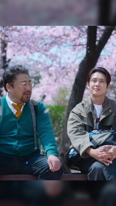 春の到来🌸 桜満開のNetflixシリーズで春気分をさらに満喫♪ ◆恋するムービー ◆愛をこめて、キティより シーズン2 ◆となりのMr.パーフェクト ◆君に届け