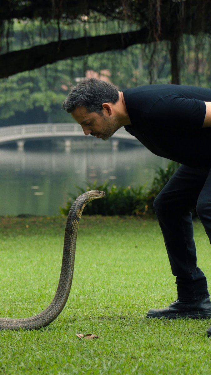 .David Blaine travels to Southeast Asia to attempt one of his most dangerous stunts yet 🐍 Don't miss #DavidBlaineDoNotAttempt, premiering tonight at 9/8c on National Geographic. Stream tomorrow on Disney+ and Hulu.