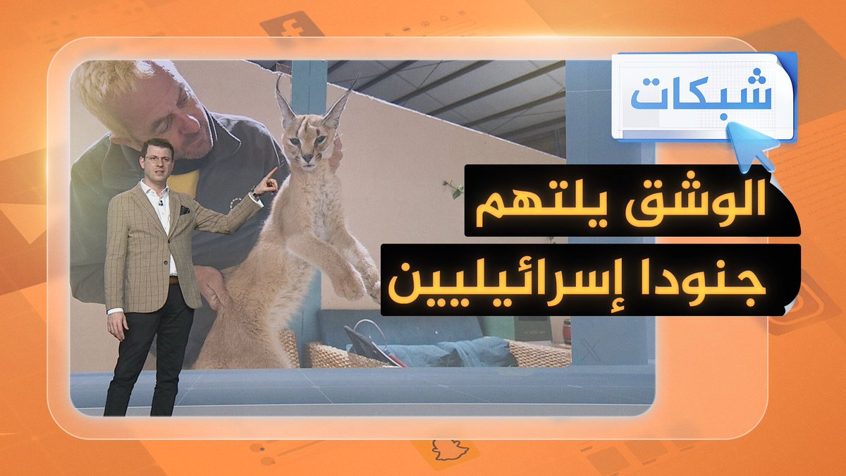 الوشق المصري المفترس يهاجم جنودا إسرائيليين ويمزق أجسادهم في قاعدة عسكرية بالقرب من الحدود #شبكات #حرب_غزة