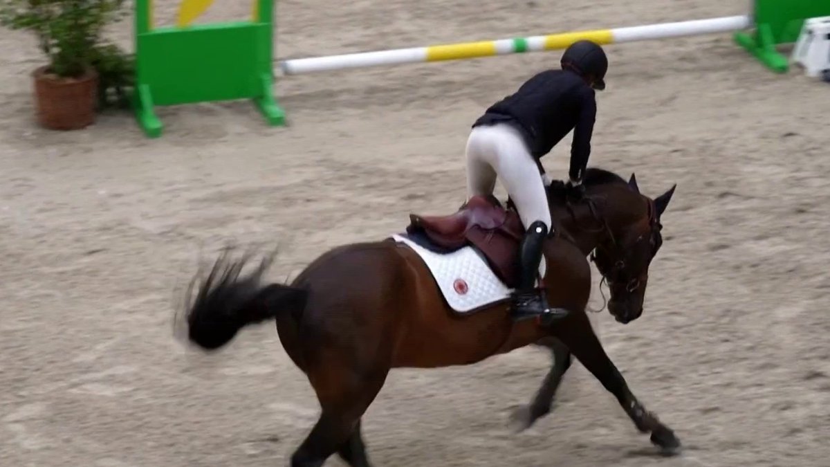 🐎 #Stade2 | Jeanne Sadran, la cavalière qui monte 💥 Elle a participé ce week-end au prestigieux Saut Hermès : immersion avec une étoile montante de l’équitation, de Toulouse où elle vit et s’entraine, au Grand Palais, mythique lieu de la compétition !