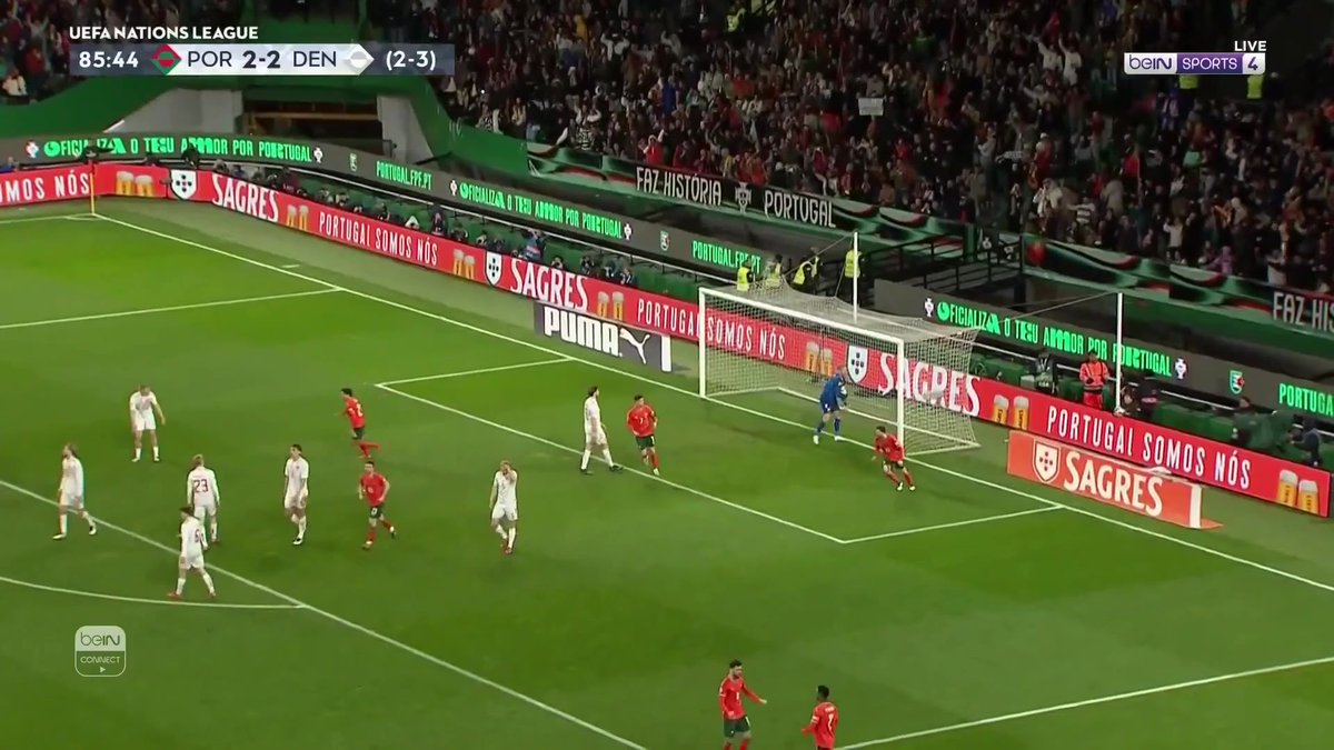 🚨🚨🚨🚨🚨🚨🚨🚨🚨🚨🚨🚨🚨 خيااااااااااااااااااااااااااااااالي! هدف خيالي من ترينكاو! البرتغال 3-3 الدنمارك في المجموع 😱😱😱😱😱😱😱😱😱😱😱😱😱😱