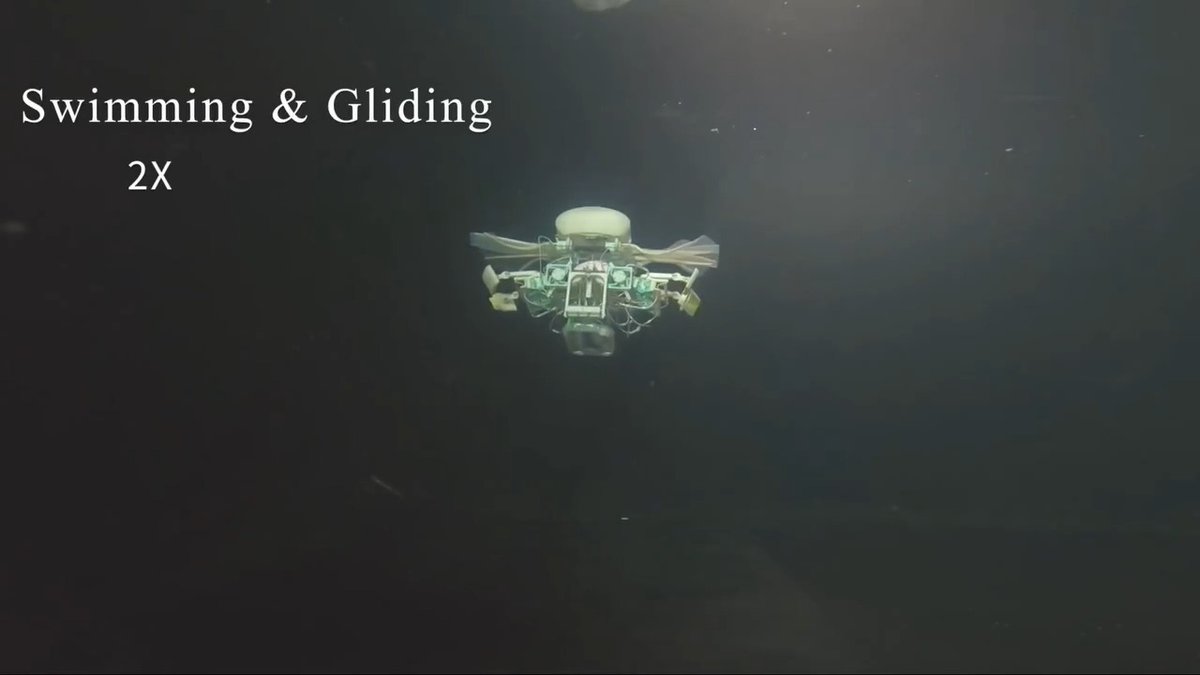 Scientists have developed a miniature robot that can reposition its fins and legs to swim, glide, and crawl untethered in different deep-sea environments, including the Mariana Trench. Learn more in Science Robotics: