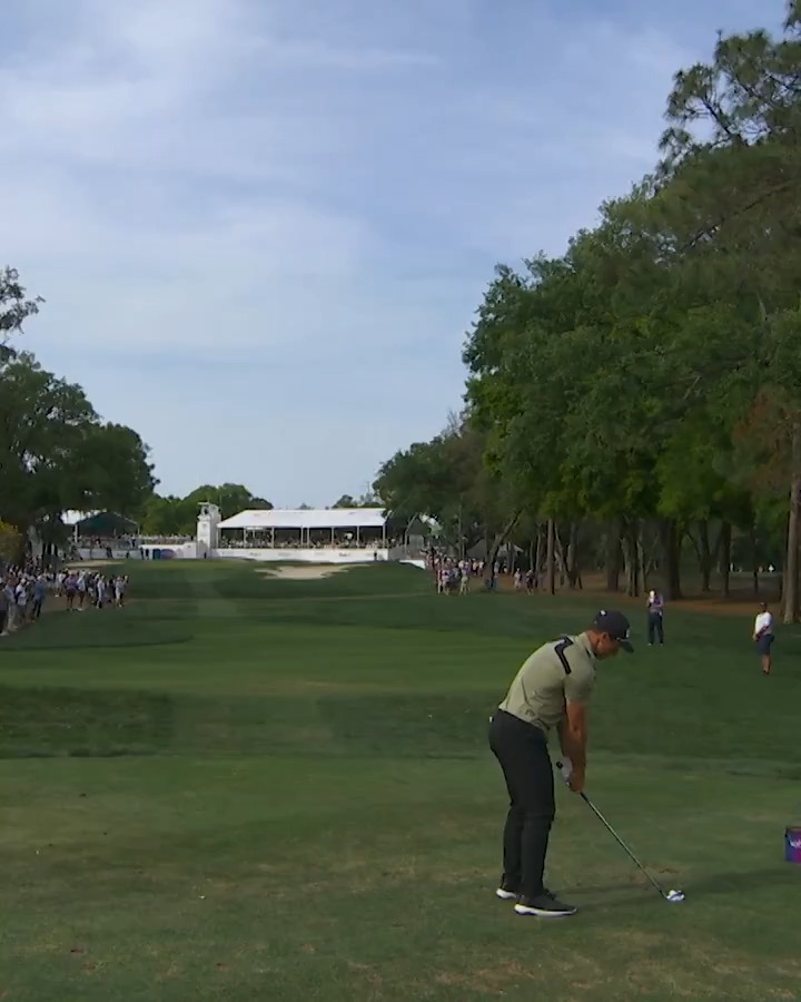 A righty with a lefty shot and a pair of aces highlight the top 5⃣ shots from Valspar Championship 👀