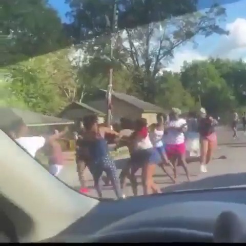 Apparently it was "bring your kid, car, and bat to fight day" in this neighborhood... It seems the assignment was understood by all 🤨 #CityLife #fight #bat #kids #car #crime #democrats #diabetes #chaos