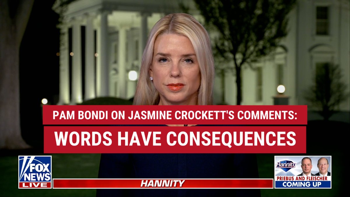WATCH: Attorney General Attorney General Pamela Bondi calls out the Democratic representative's words against Elon Musk amid Tesla protests on Sean Hannity 🇺🇸.