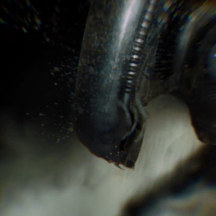 The award-winning ALIEN RPG is evolving with its new EVOLVED EDITION – launched on Kickstarter today. Join the fun and survive if you can!