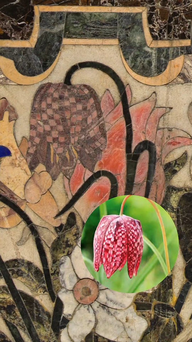 ¿Sabías que existe una flor llamada tablero de damas? "Un paseo botánico por el Prado" es un recorrido por la colección del Museo del Prado que pone el foco en más de 40 especies botánicas de la mano del jardinero e investigador botánico Eduardo Barba