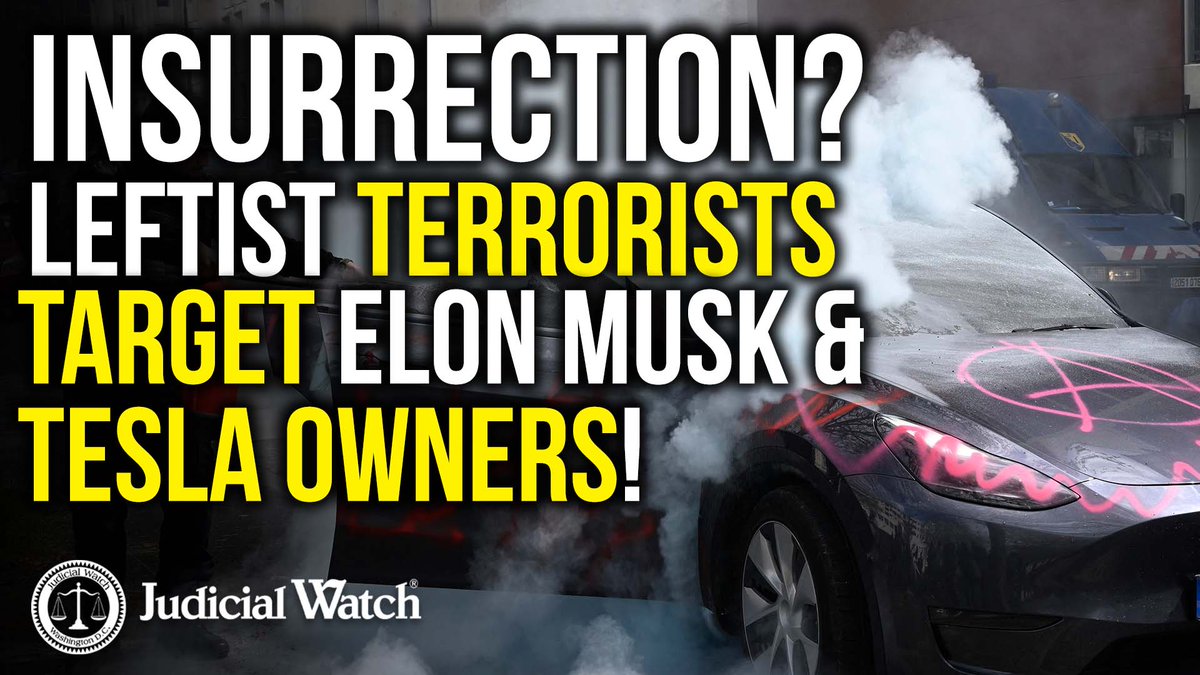 INSURRECTION? Leftist Terrorists Target @ElonMusk and Tesla Owners!