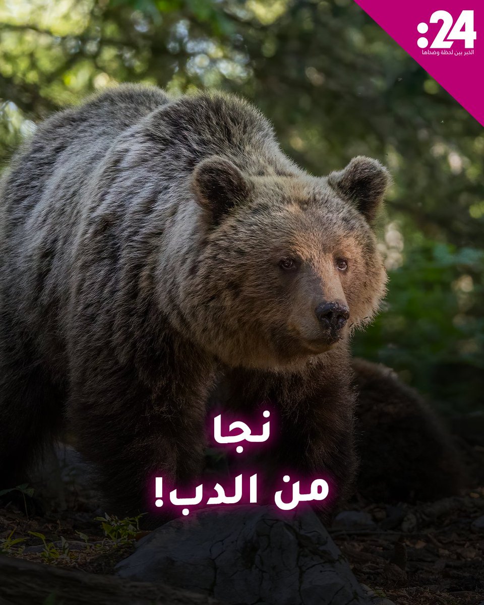 دب يهاجم رجلاً في الغابة لكن الفأس كان كفيلاً بإنقاذه لمشاهدة المزيد من الفيديوهات: