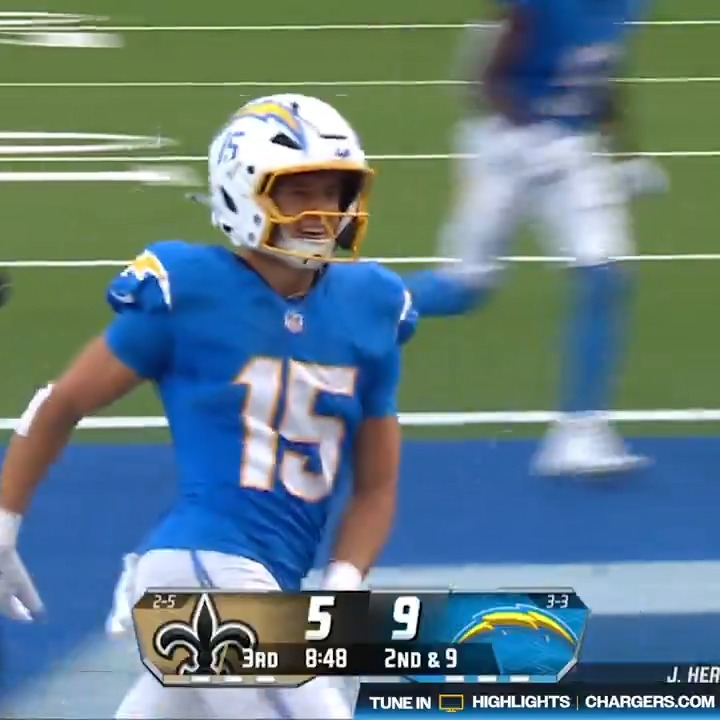 a moment for the rooks