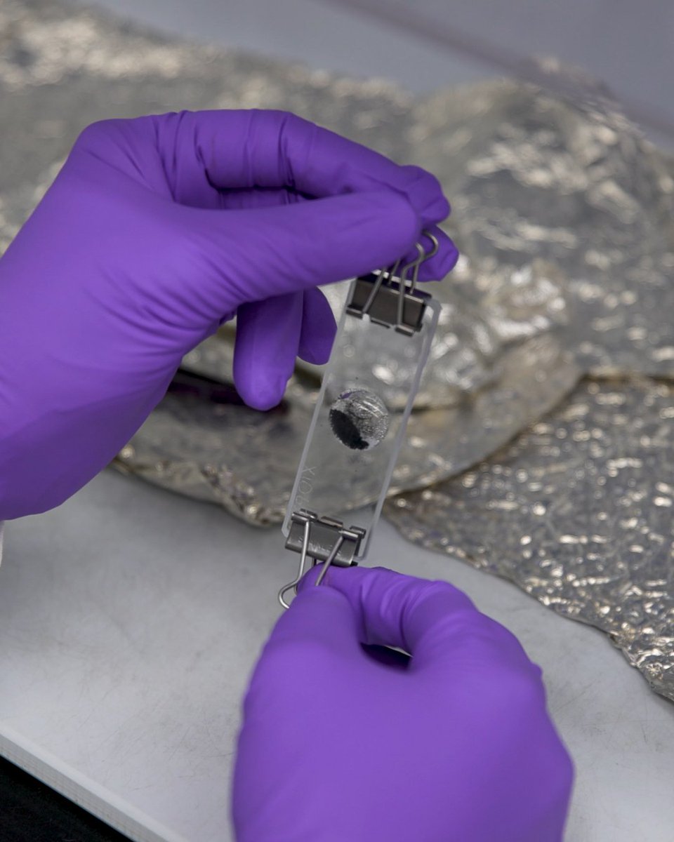 Scientists have discovered the building blocks of life in samples retrieved from a distant asteroid.