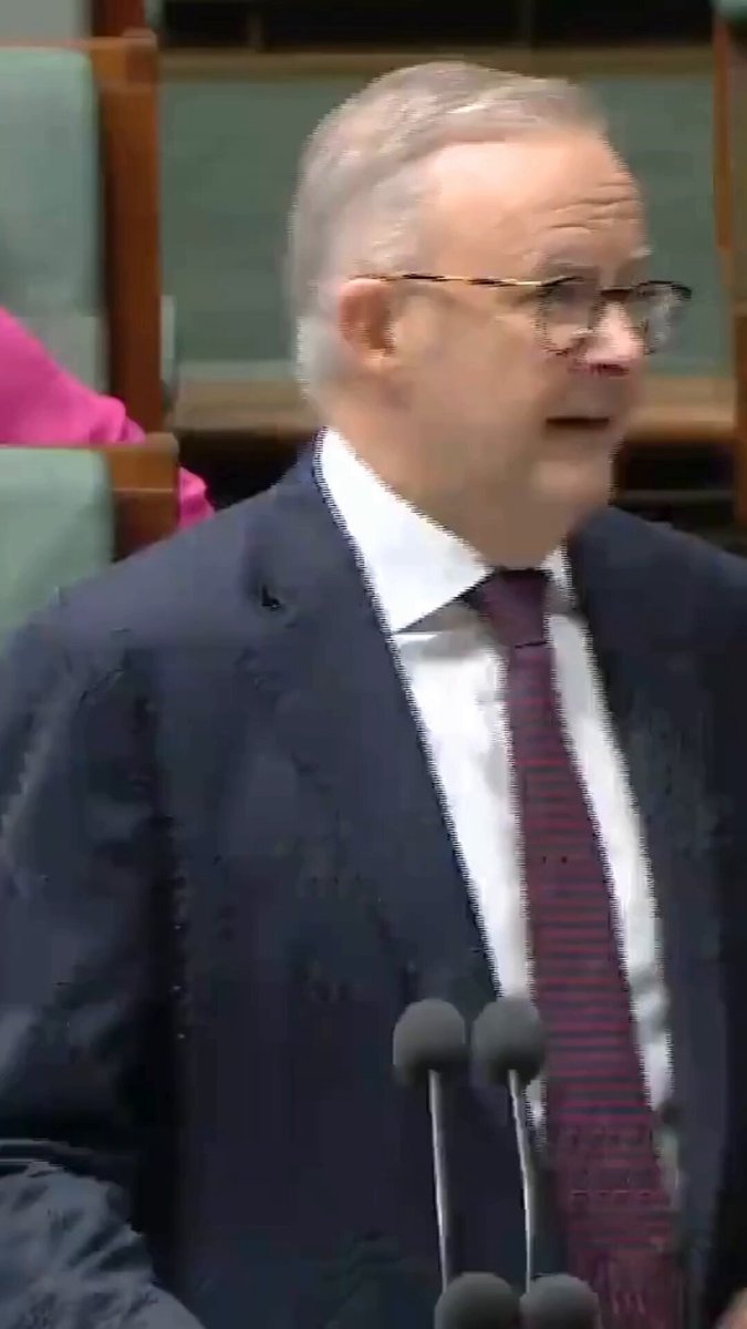 Prime Minister Anthony Albanese has tried out some Gen Z slang on the floor of Parliament, labelling the Coalition delulu with no solulu - delusional with no solution.
