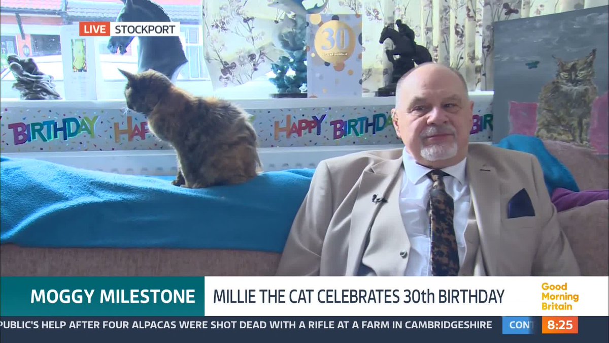 'What is the secret to an extended life for a moggy?' Meet tortoiseshell moggy, Millie, who has just celebrated her 30th birthday. Owner Leslie reveals how a change in diet has helped Millie.
