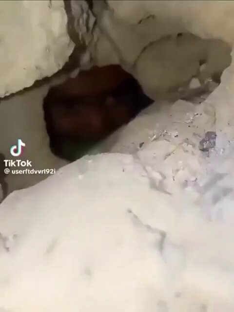 Kıyamet alameti mi görmek istiyorsunuz? 8 milyar 8 milyona esir düşmüşse, 2 milyar 2 milyonu kurtaramıyorsa, Kıyamet kopmuştur!.. 📍Gazze