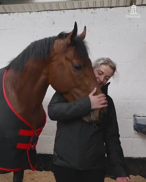 Hotazhell and Kate Harrington 🫶 The Gr.1 Futurity Trophy winner in fine fettle at Jessica Harrington as the #TattsCraven Breeze Up buy gears up for a Guineas tilt.