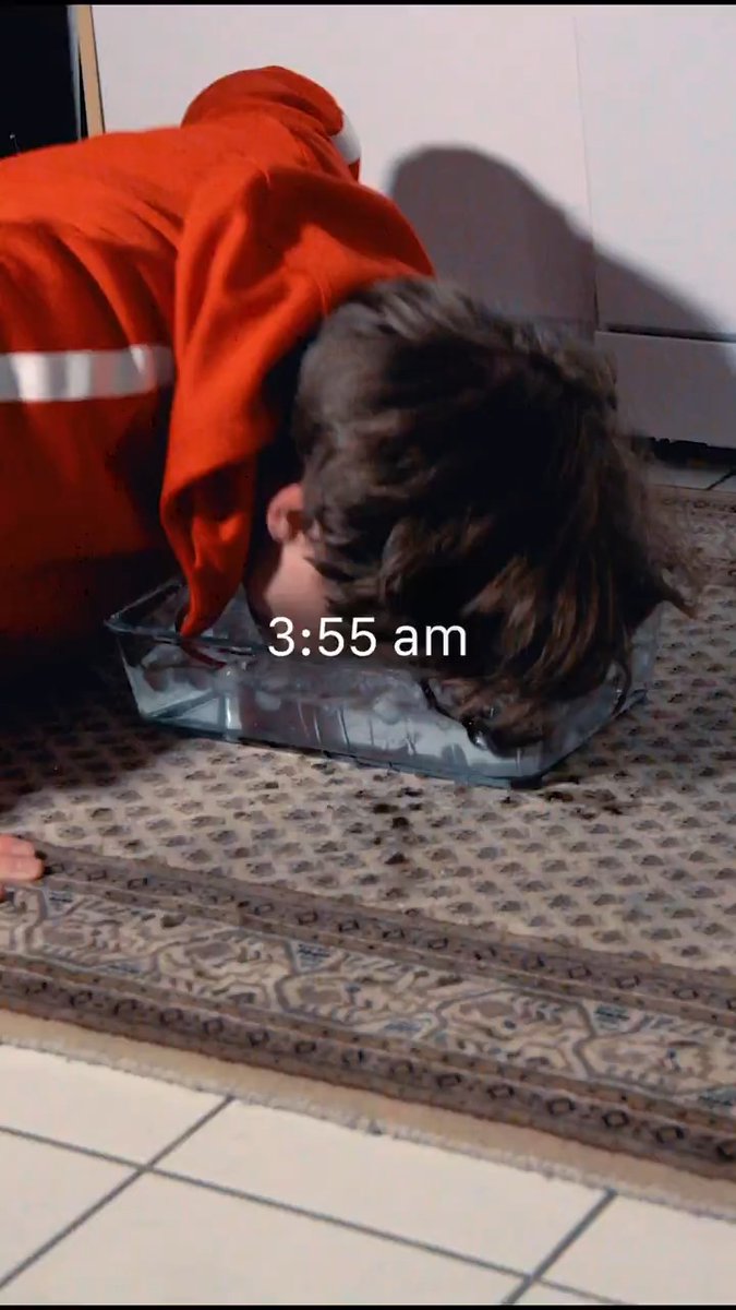 My Morning Routine