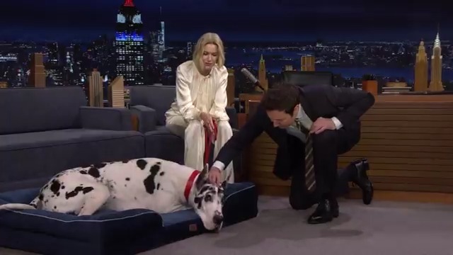 Naomi Watts introduces Jimmy to her 150-lb co-star Bing the Great Dane 🥹 #FallonTonight