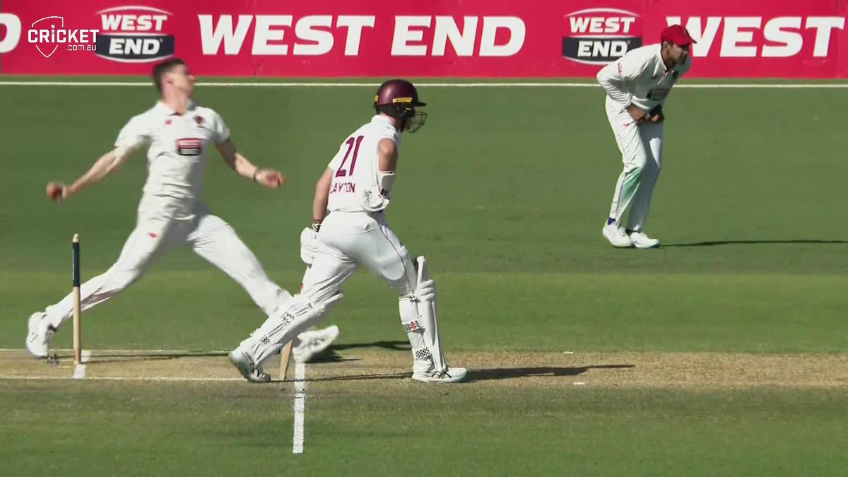 Great Scott! Liam Scott's awesome catch is denied by Brendan Doggett's no-ball #SheffieldShield