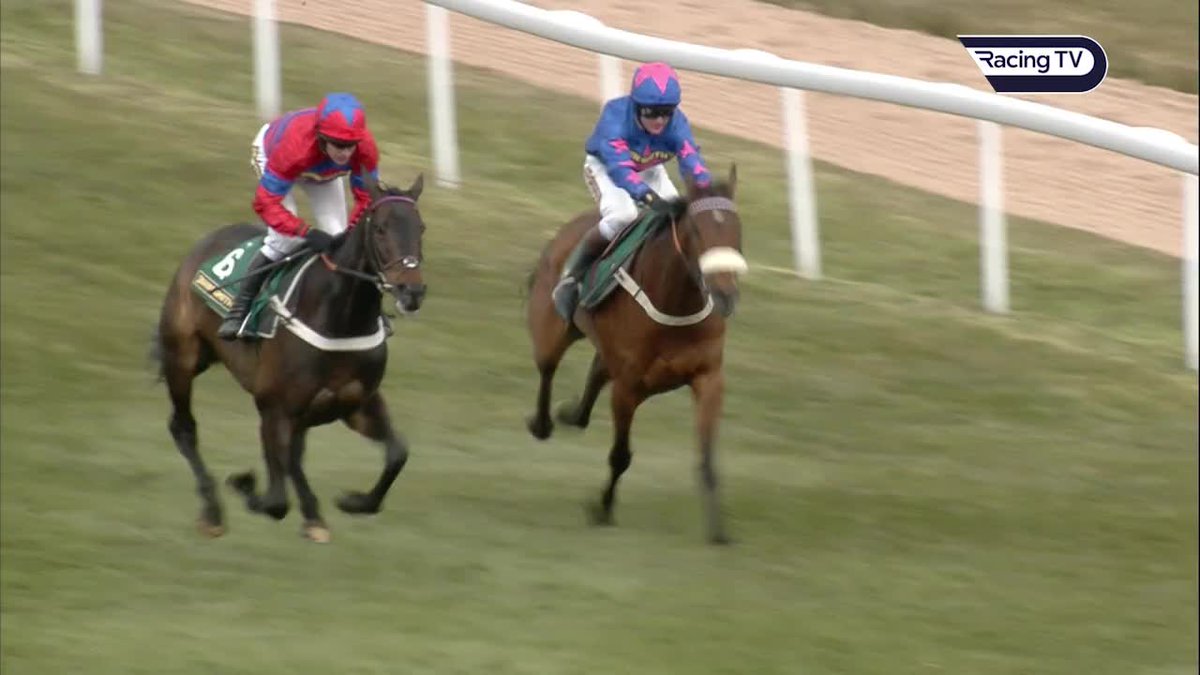 🚨 7 DAYS TO THE GRAND NATIONAL MEETING KICKS OFF IN AINTREE!! 😍 Who remembers this legend cantering all over Cue Card in the Melling Chase. One of the greatest performances I've seen in my life, he was different gravy! ✨️