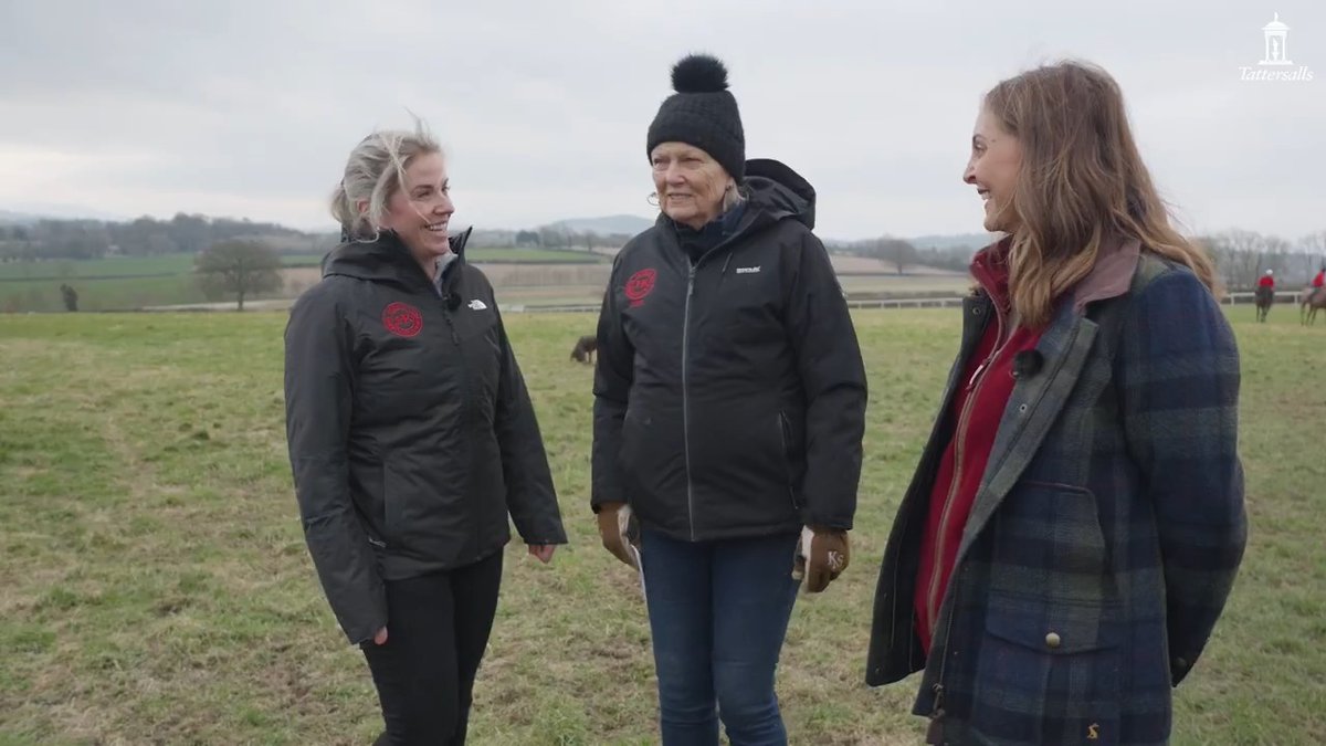 2025 promises to be an exciting year for Hotazhell. Gina Bryce chats to Jessica Harrington, Kate Harrington & Richie Galway about his Guineas prep, winning the Futurity Trophy and being bought for owners Silverton Hill for 200,000gns from Eddie Linehan at the #TattsCraven Breeze Up.