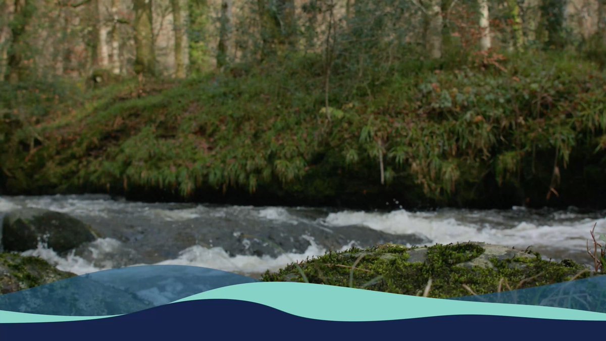 We are one of only five companies in the industry to reduce spills compared to 2023. Our focus has been to reduce spills at beaches in bathing season by 20% in the last five years and at the highest spilling sites, despite having the wettest hydrological year on record. We are moving in the right direction delivering on what our customers tell us they want. Watch the video below to learn more about the story behind the numbers.