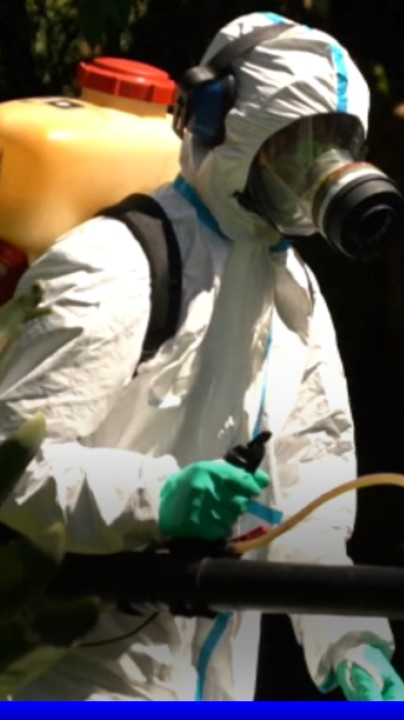 Chikungunya: l'épidémie progresse à La Réunion avec 4.156 nouveaux cas en une semaine