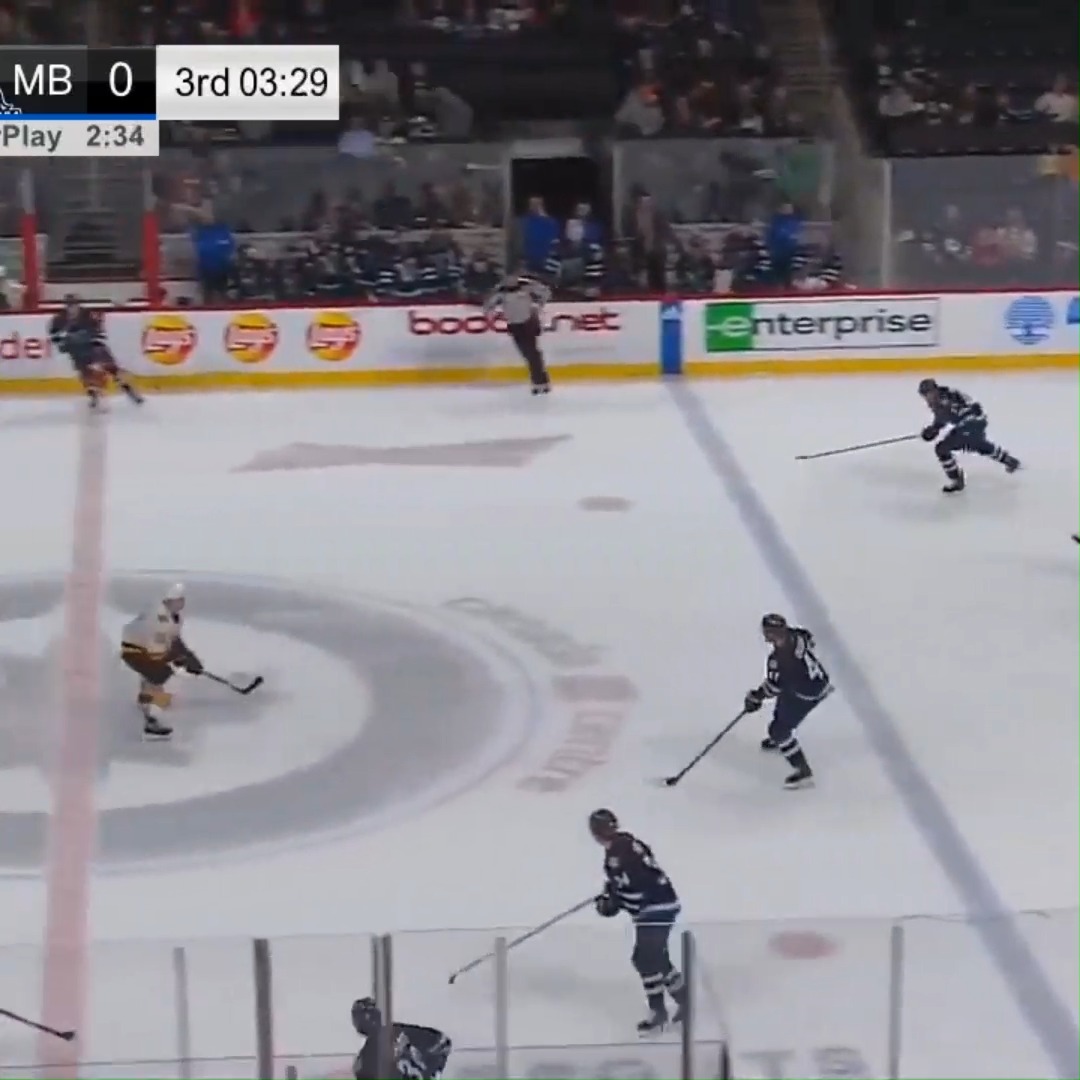 TBT to one of the most electric goals in Wolves history #GoalieGoal #BestCellyEver