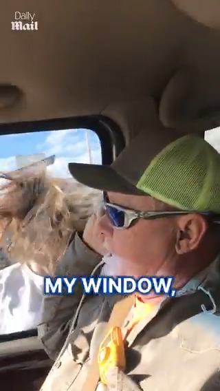Woman breaks her tooth in fit of road rage.