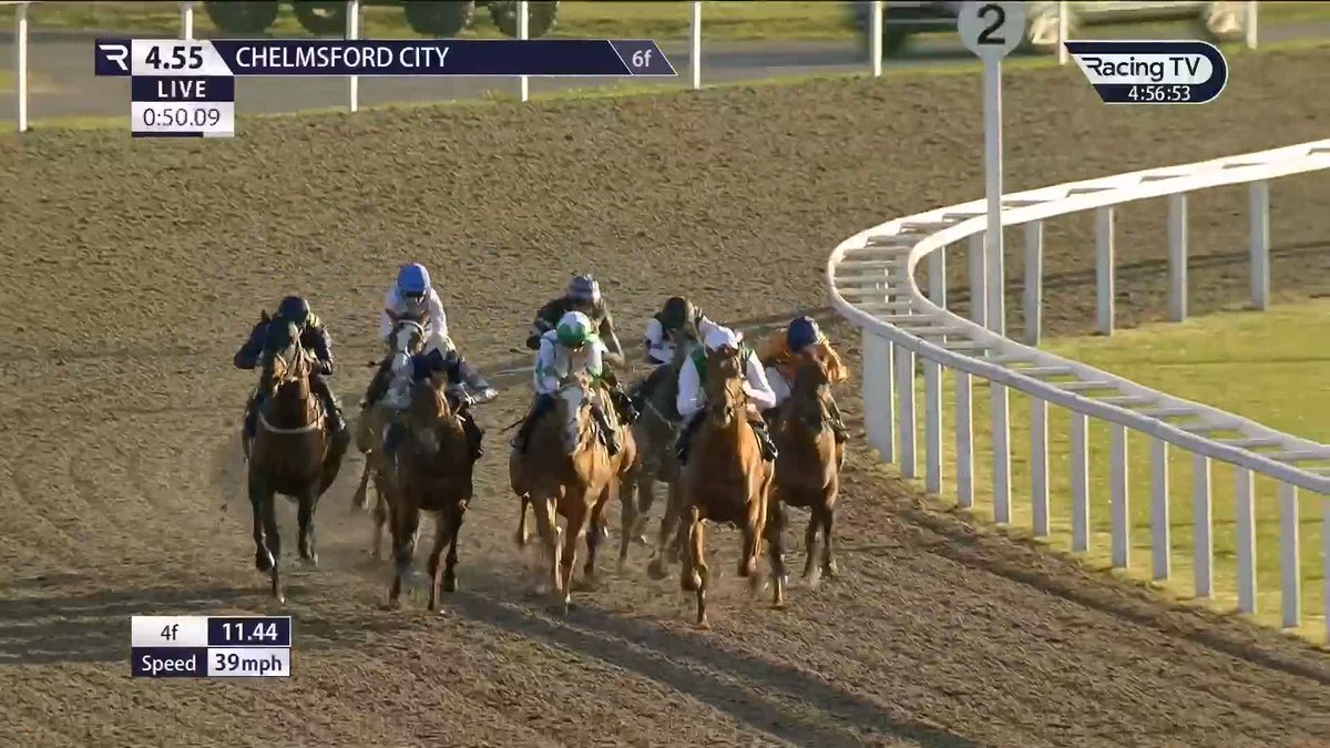 They can't be separated! 😮 A thrilling finish to the Chelmsford City Racecourse opener results in a DEAD-HEAT between I Maximus (Zoustar) and Blue Rc (Blue Point) in the British EBF Maiden Stakes 🤝