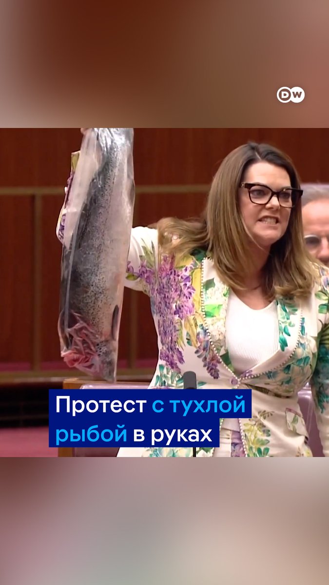"Вы продали свои экологические полномочия за протухшего лосося!" Австралийский депутат высказалась против открытия лососевых ферм. Для наглядности она принесла на заседание огромную рыбу
