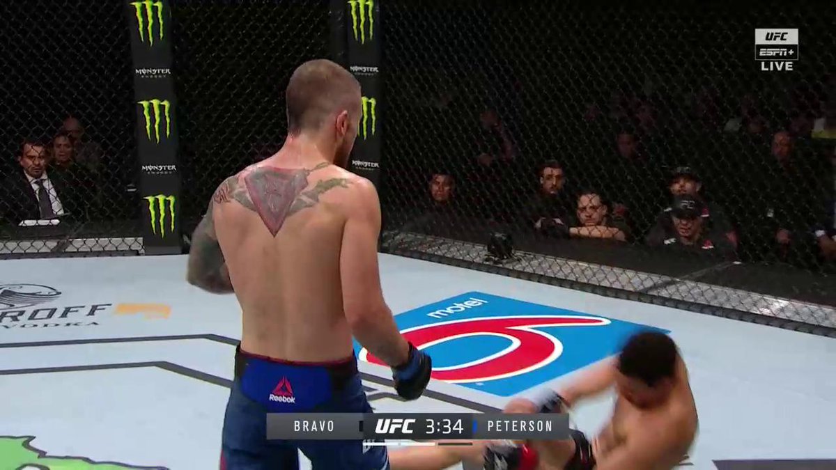 Spinning Backfist for the timeline