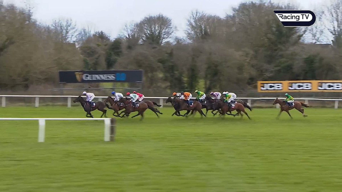 🗣️"Champion Hurdle horse?!" 🗣️"I hope so!" Harry Skelton analyses The New Lion's Cheltenham Festival win alongside Ruby Walsh 🟢🟡 #RoadToAintree | Paddy Power | Dan Skelton Racing