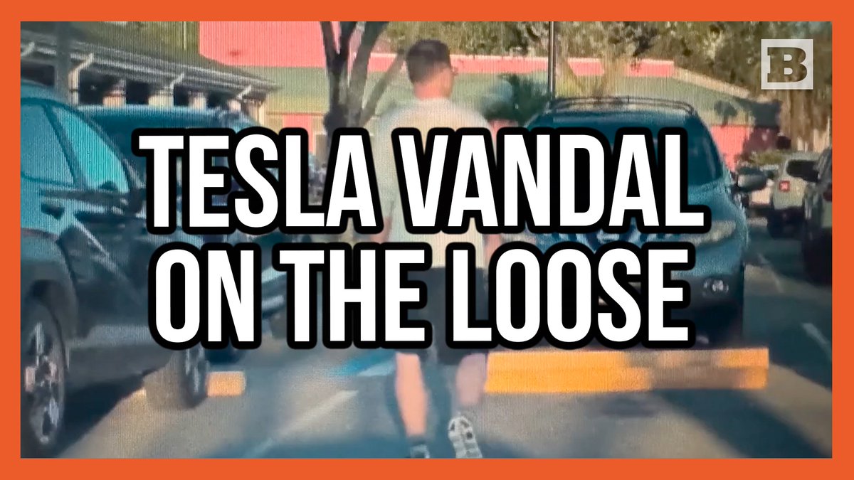 Police are looking for the public's help to identify a man who damaged three Tesla vehicles at the Pinebrook Commons shopping plaza in Bradenton, Florida The suspect caused "at least $7000 in damage."