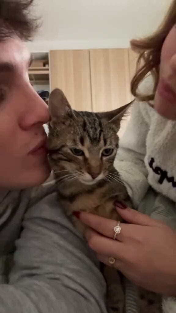 every cat deserve this 😭💖